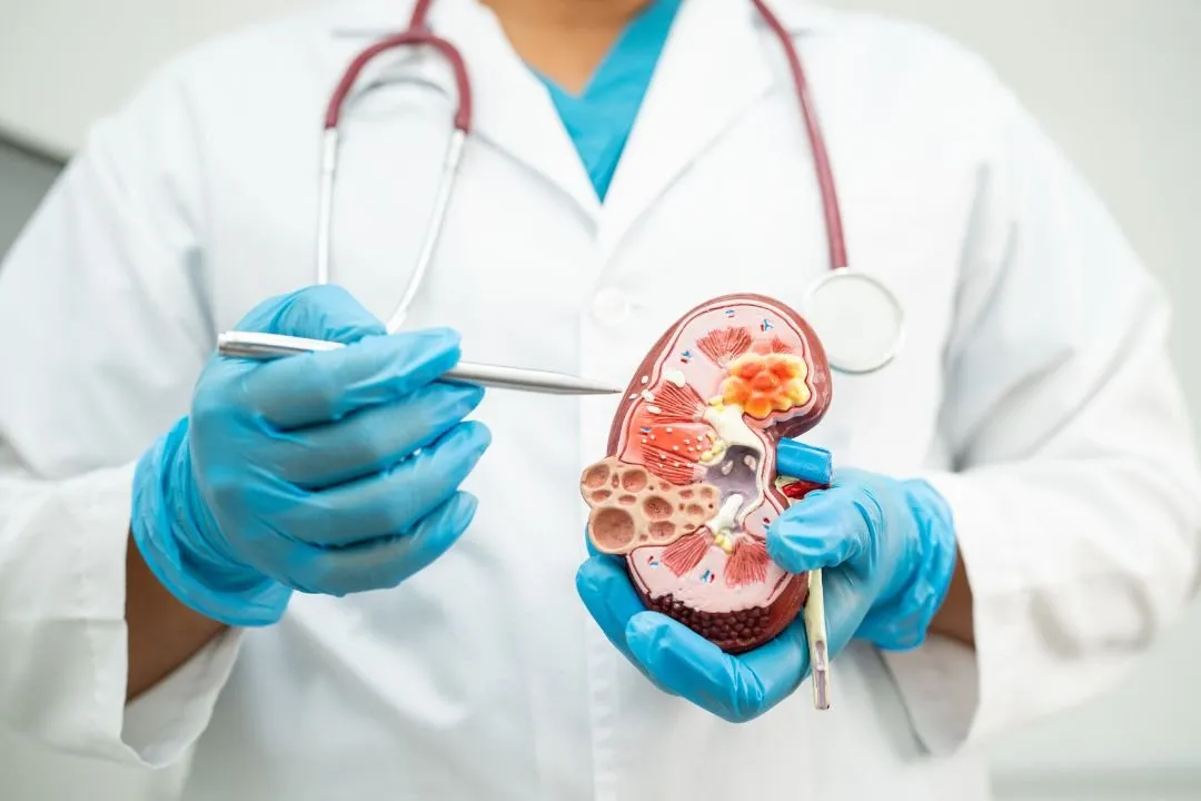 Color Doppler scan for vascular diagnosis Mancherial