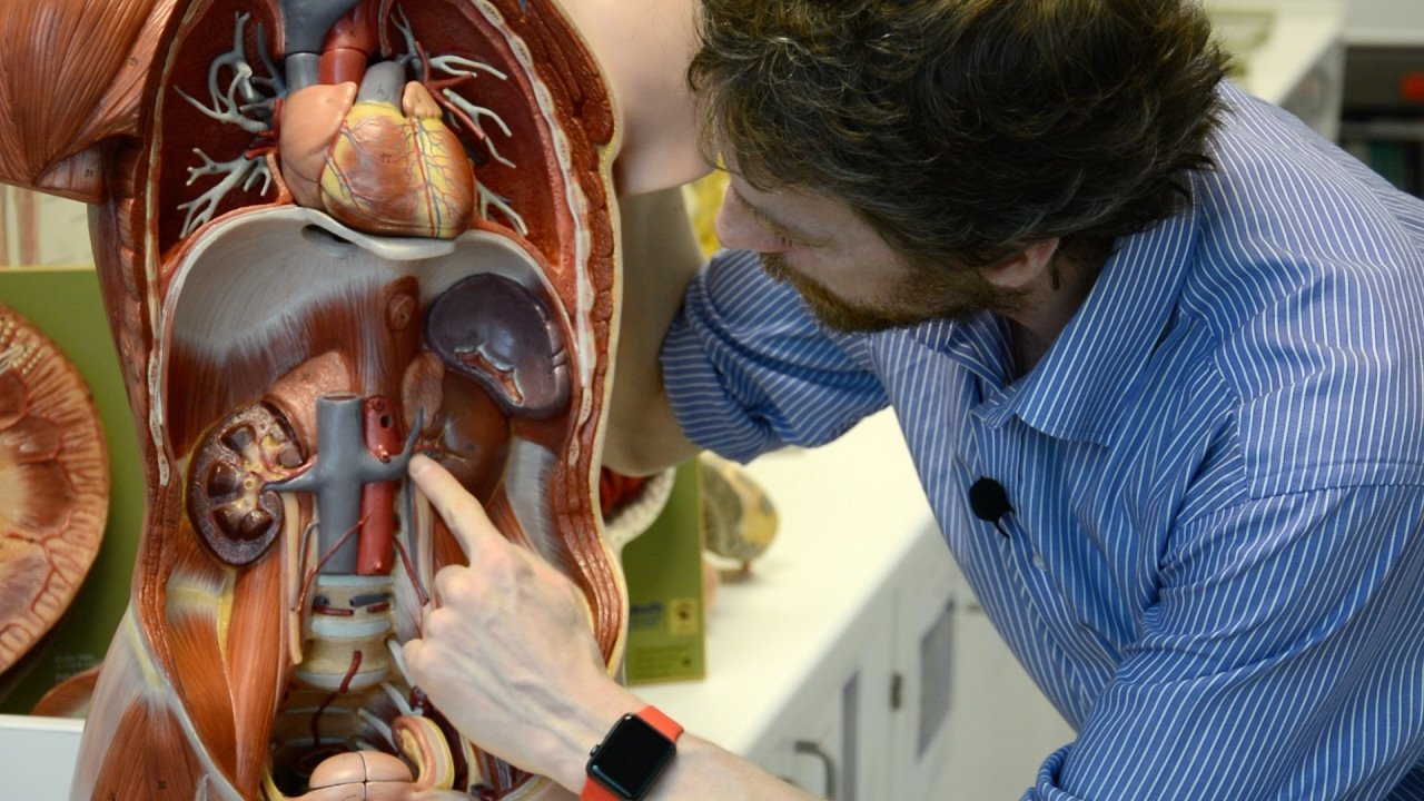 Color Doppler scan for vascular diagnosis Mancherial